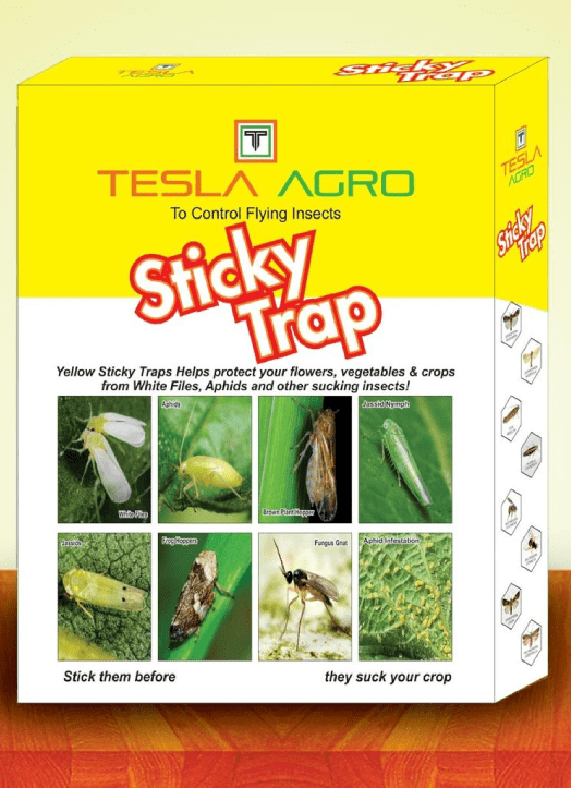 Sticky trap
