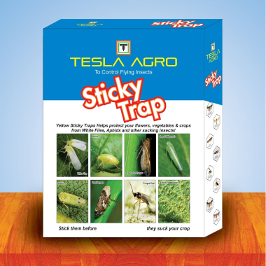 Sticky Traps